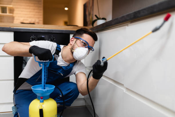 Best Pest Control Near Me  in Sayre, OK