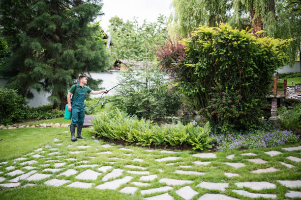 Reliable Sayre, OK Pest Control Solutions