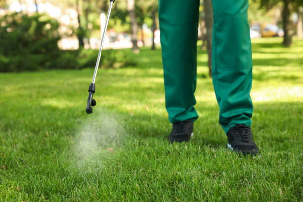 Best Mosquito Control Services  in Sayre, OK
