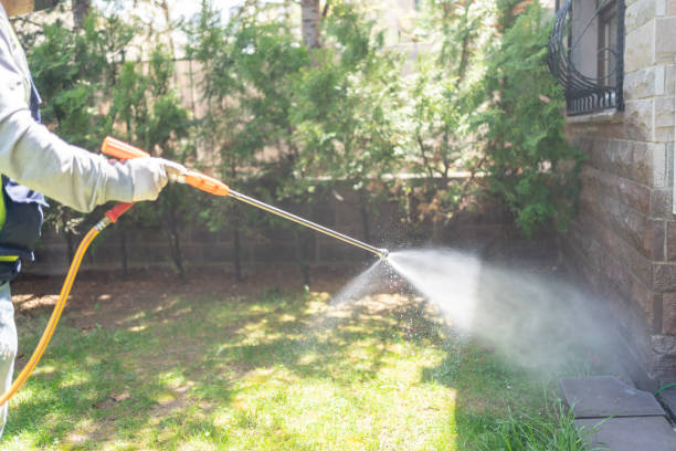 Best Pest Removal Services  in Sayre, OK