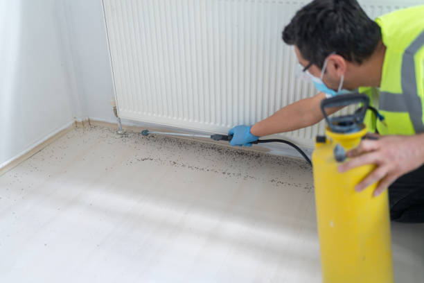 Best Pest Prevention Services  in Sayre, OK