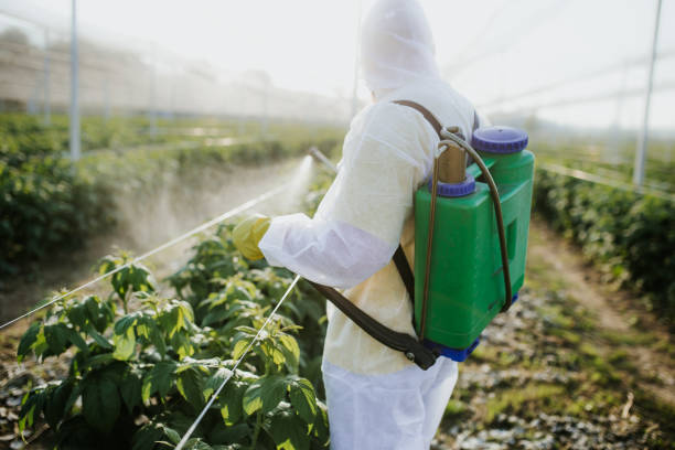 Best Best Pest Control Near Me  in Sayre, OK